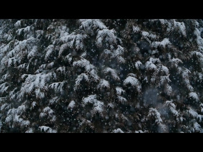 Snow Winter Background 23