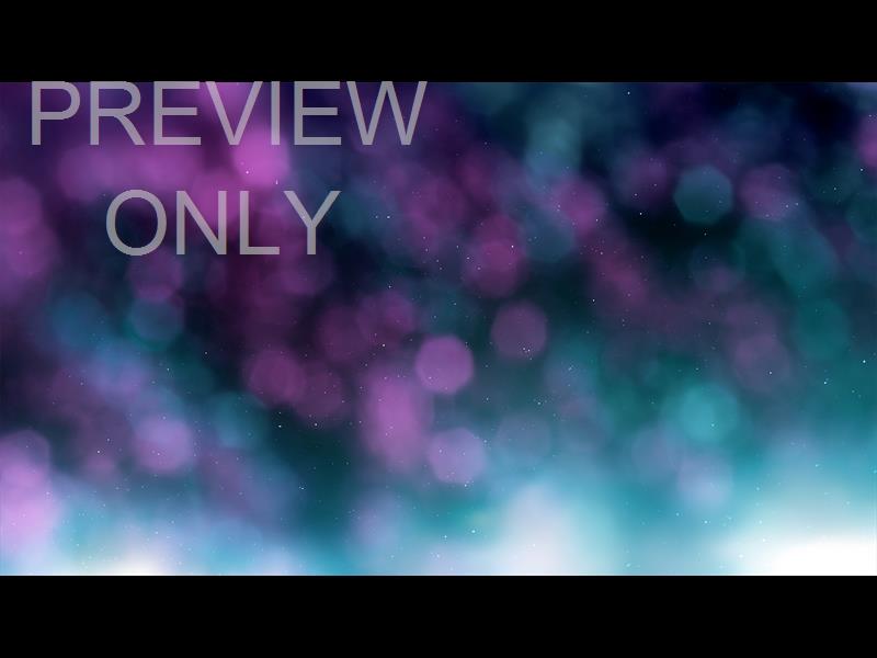 Christmas Light: 16 Still