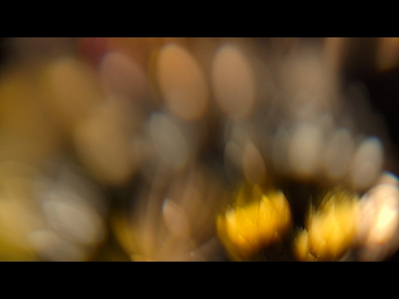Christmas Ornamental 11