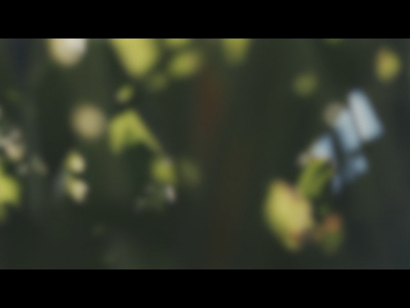 Gardenista Loop 07