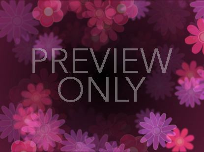 Pink And Purple Flowers