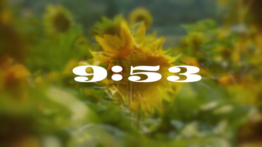 Muted Spring 10 Min Countdown