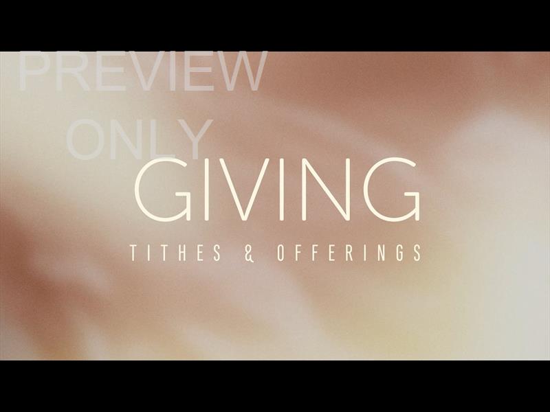 Shimmer: Still Giving