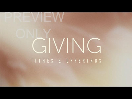 Shimmer: Still Giving