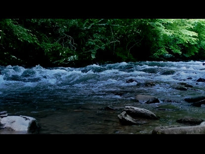 River Wild 9