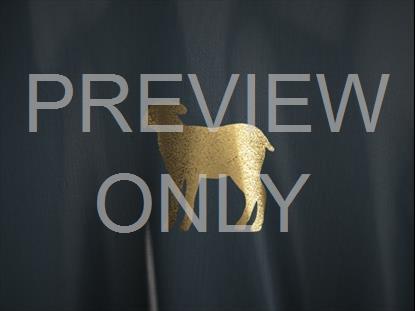 Easter Upside Down: Lamb Still