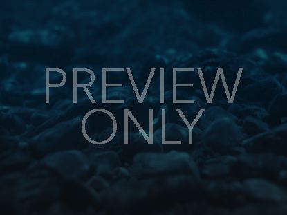 Ocean Floor