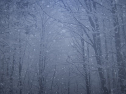 Winter 1