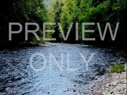 River Wild 11 Hd Still