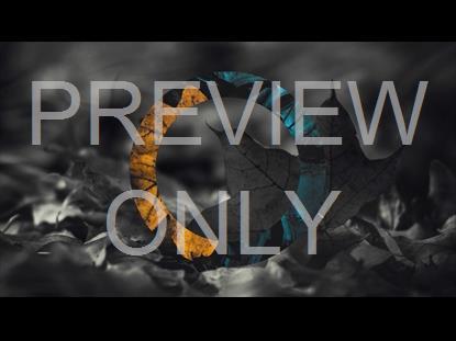 The Shape Of Fall 2 Graphic
