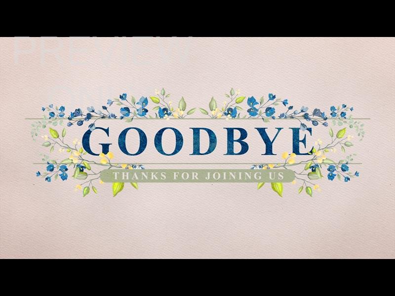 Petite Flower: Still Goodbye