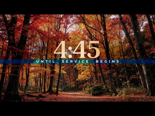 Forest Fall Countdown