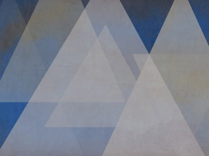 Triangulation 5 Motion