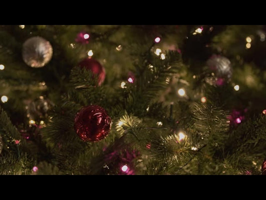 Christmas Lights Ii: 07