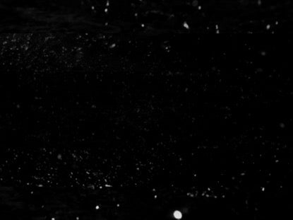 Black And White Ocean Stars