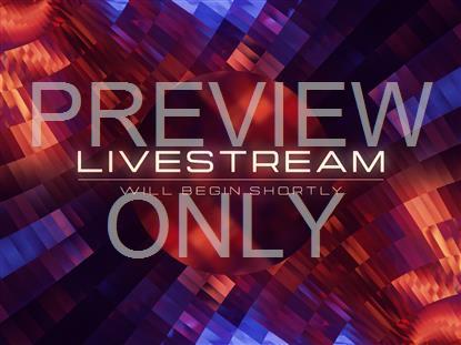 Mirror Ball Livestream