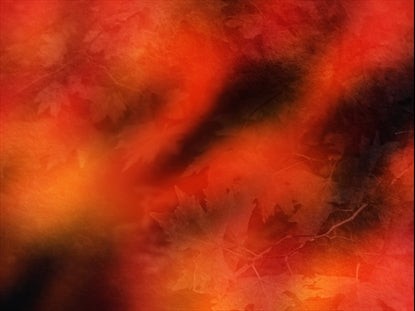 Radiant Harvest Motion 6