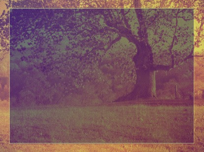 Give Thanks 4 Motion