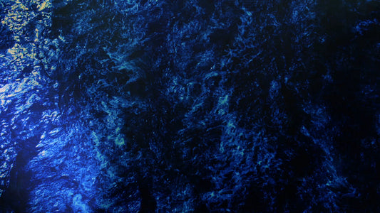 Natures Palette 5 Still