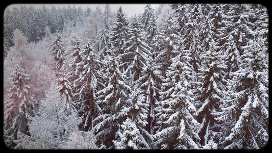 Retro Winter 02