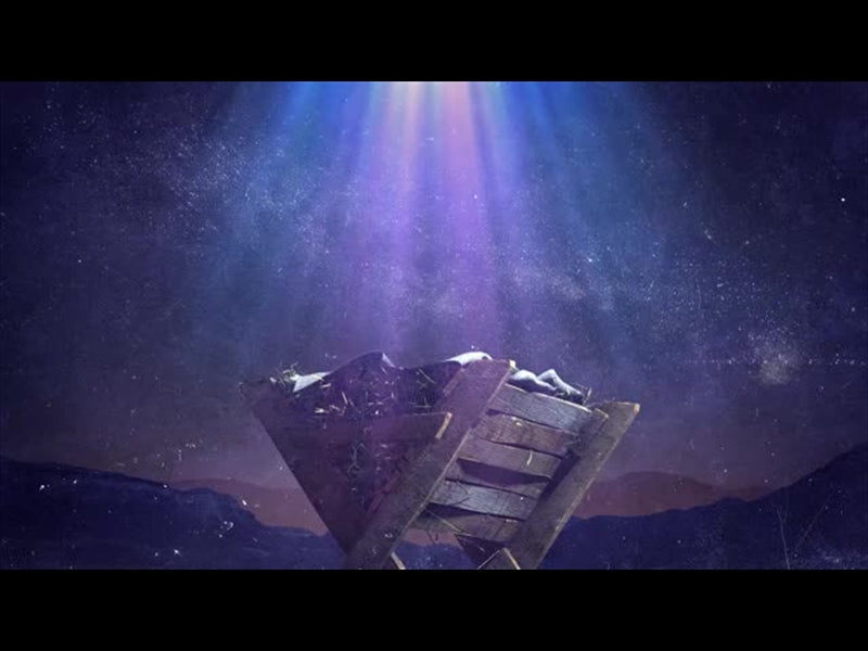 The Wonder Of Christmas: Manger Loop