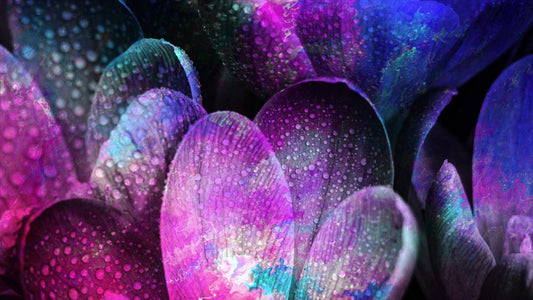 Floral Paint 03