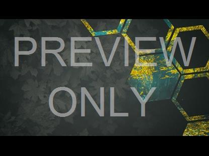 Fall Equinox 4 Graphic