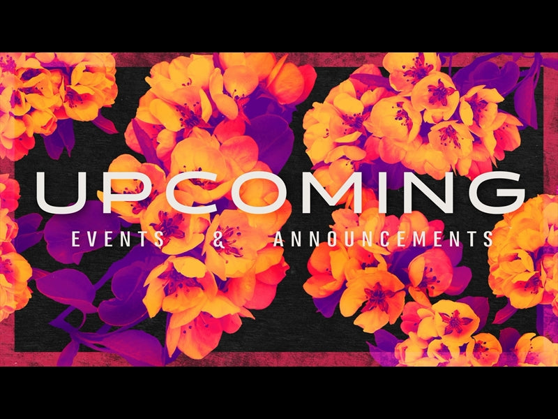 Bold Blooms Upcoming