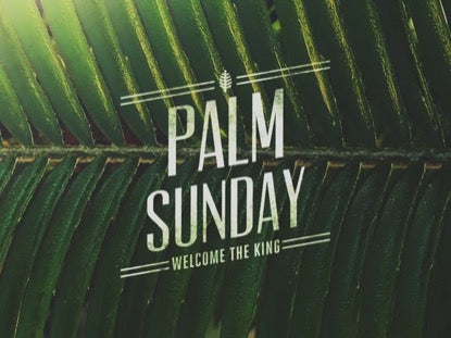 Macro Palm Sunday