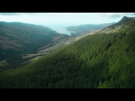 Aerial Bliss 5