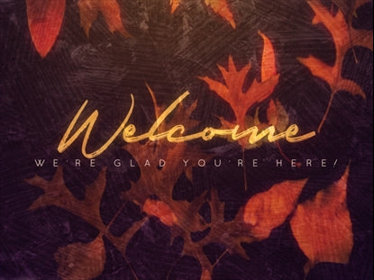 Fall Into Grace Welcome Motion