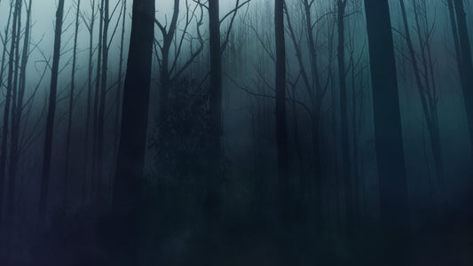 Last Light Forest Still