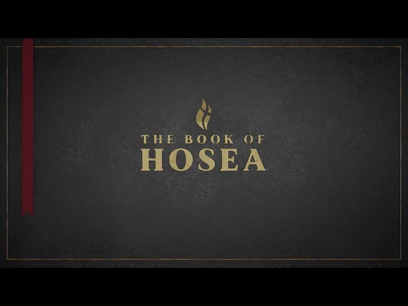 Hosea - Black