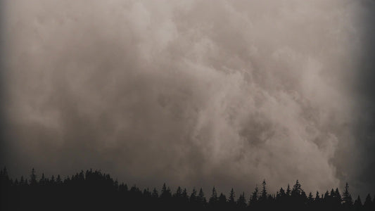 Horizon Crosses Side Crosses No Cross Still