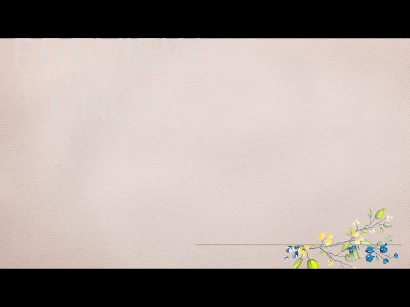 Petite Flower: Still 03