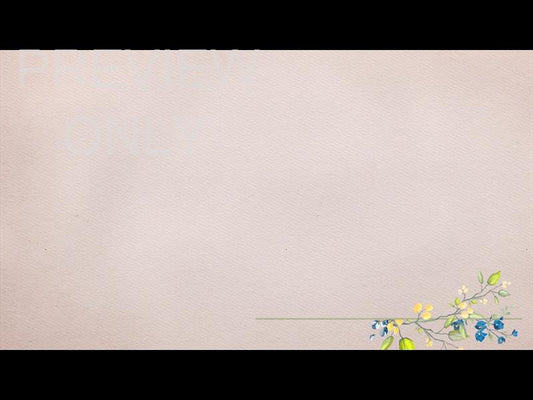 Petite Flower: Still 03