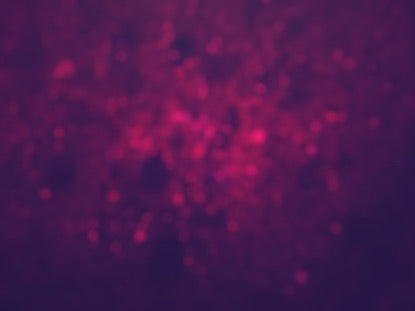 Purple Glitter