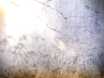 Memorial Inspiration Motion