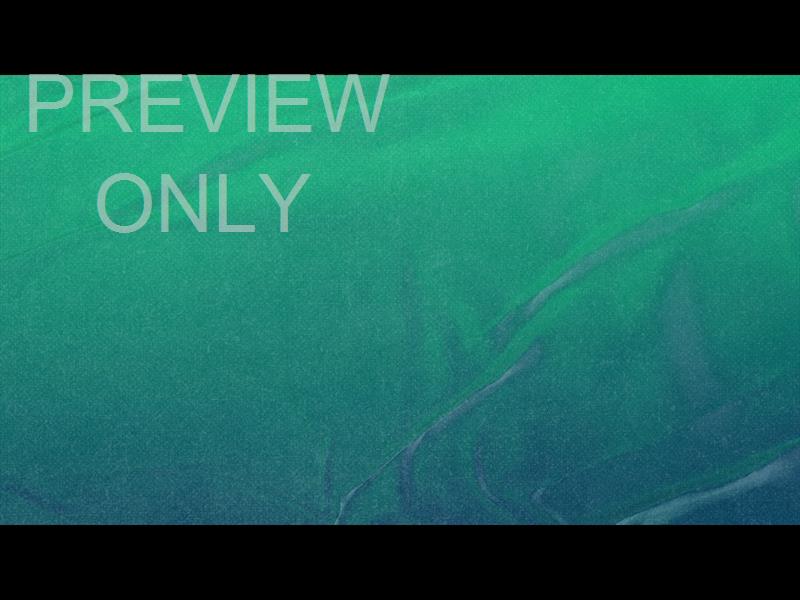 Live Out Loud Still 14