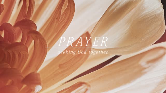 Flowers Of The Field Prayer