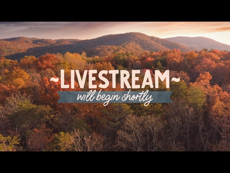 Epic Autumn Aerial Livestream