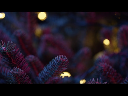 Christmas Pines Teal Pink Close