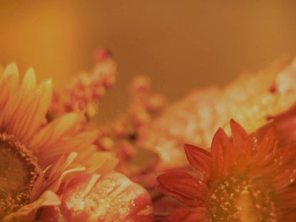 Background Fall 1
