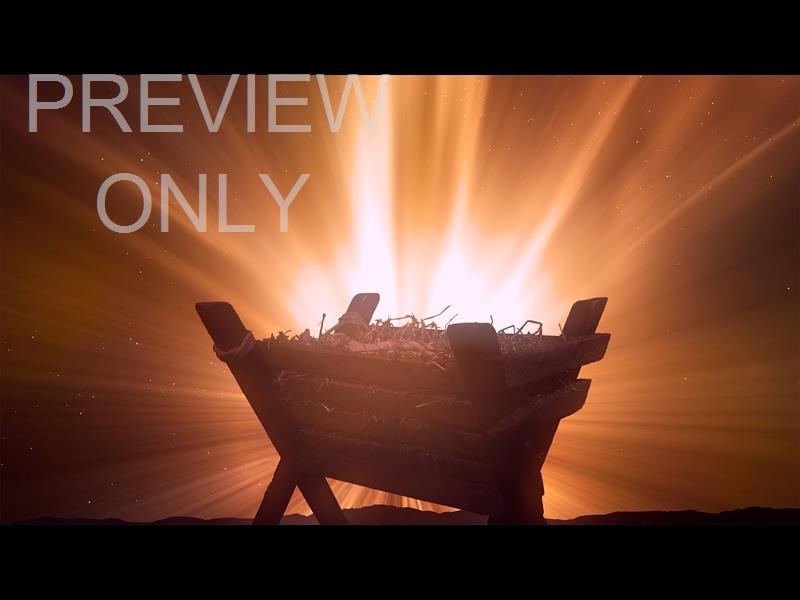 Christmas Manger 2 Still