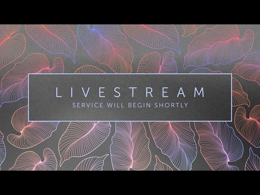 Tropical Night Livestream