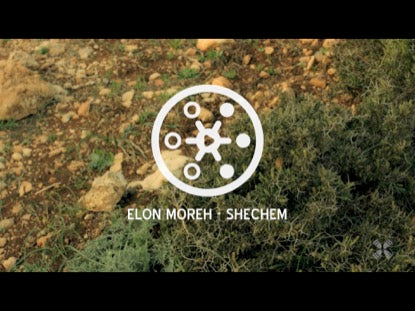 Promised Land Elon Moreh Shechem
