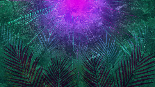 Vivid Palm Sunday 08 Still