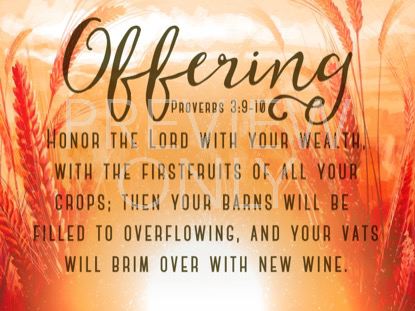 Harvest Sowing Offering Still