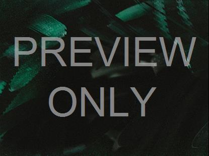 Men's Conference Alt 2