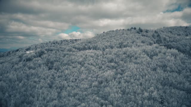Glorious Winter 11